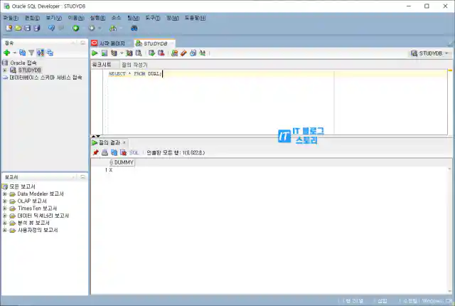 SQL Developer 편집 화면