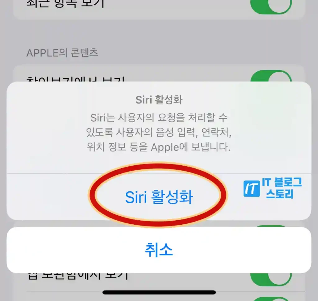 시리 활성화 선택