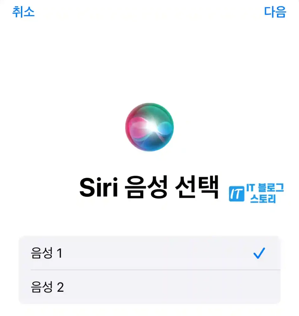 음성 선택